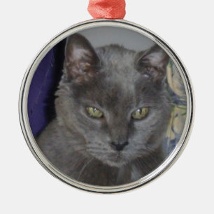 Russian Blue Cat Ornament