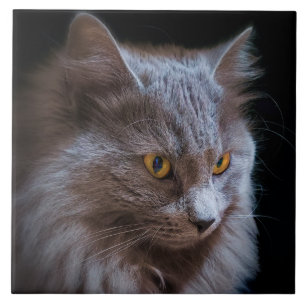Russian Blue Gray Nebelung Cat Wall Art  Ceramic Tile