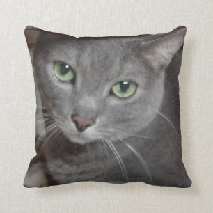 Russian Blue Grey Cat Cushion