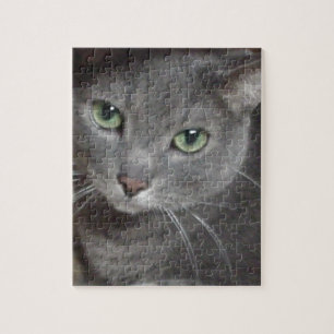 Russian Blue Grey Cat Jigsaw Puzzle