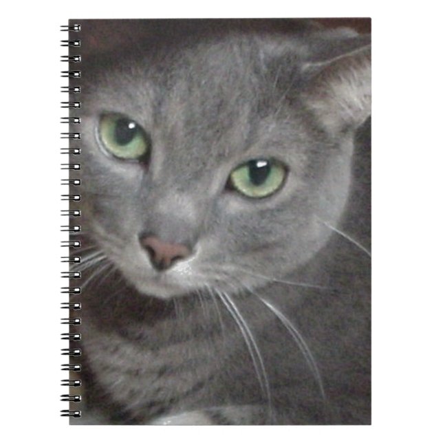 Russian Blue Grey Cat Notebook (Front)