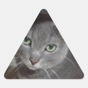 Russian Blue Grey Cat Triangle Sticker