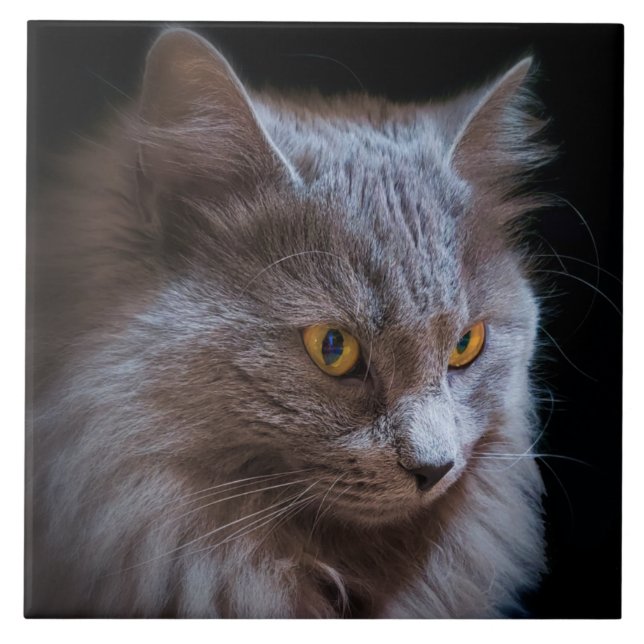 Russian Blue Grey Nebelung Cat Wall Art  Ceramic Tile (Front)