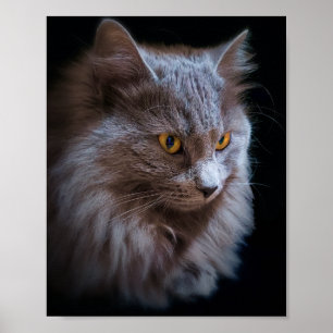 Russian Blue Grey Nebelung Cat Wall Art Poster
