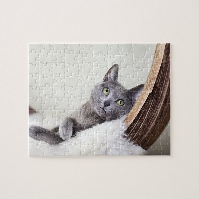 Russian Blue Jigsaw Puzzle (Horizontal)