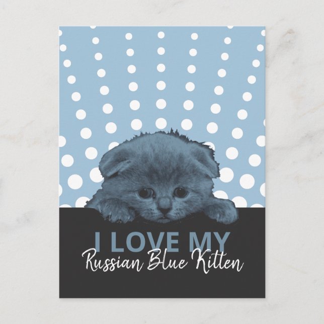 Russian Blue Kitten Postcard (Front)