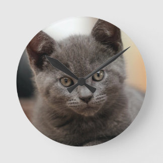 Russian Blue Kitten Round Clock