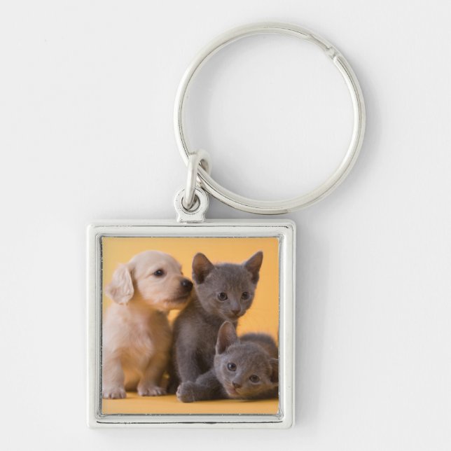 Russian Blue Kittens & Dachshund Puppies Key Ring (Front)