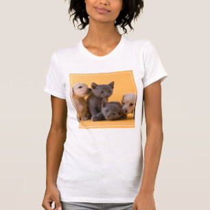 Russian Blue Kittens & Dachshund Puppies T-Shirt