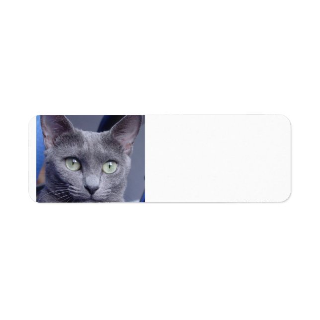 russian-blue.png return address label (Front)