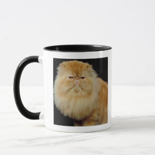 Russian Long Hair Cat Mug