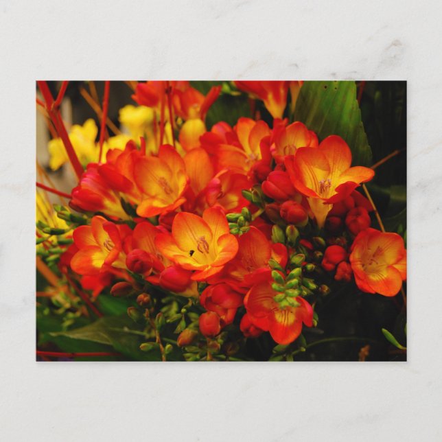 Russian Romance Postcard (Front)