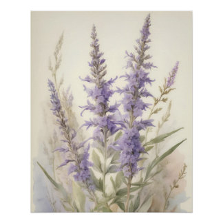 Russian Sage Poster