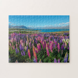 Russle Lupines at Lake Tekapo   New Zealand Jigsaw Puzzle