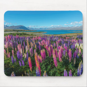 Russle Lupines at Lake Tekapo   New Zealand Mouse Pad
