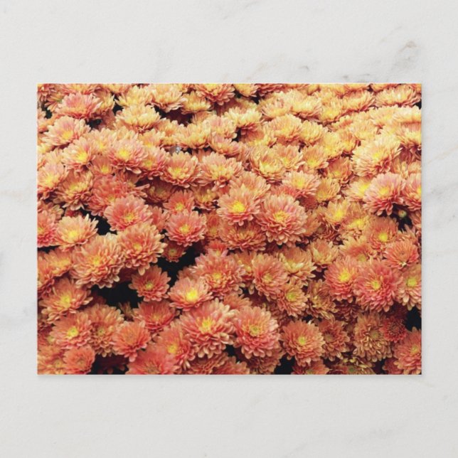 Rust coloured postcard (Front)