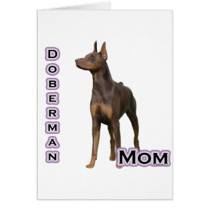 Rust Doberman Mum 4