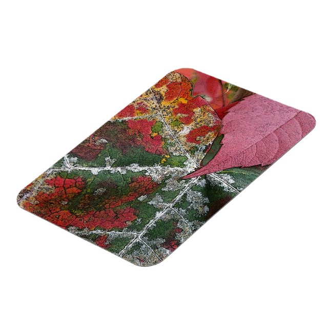 rust of autumn magnet (Left Side)