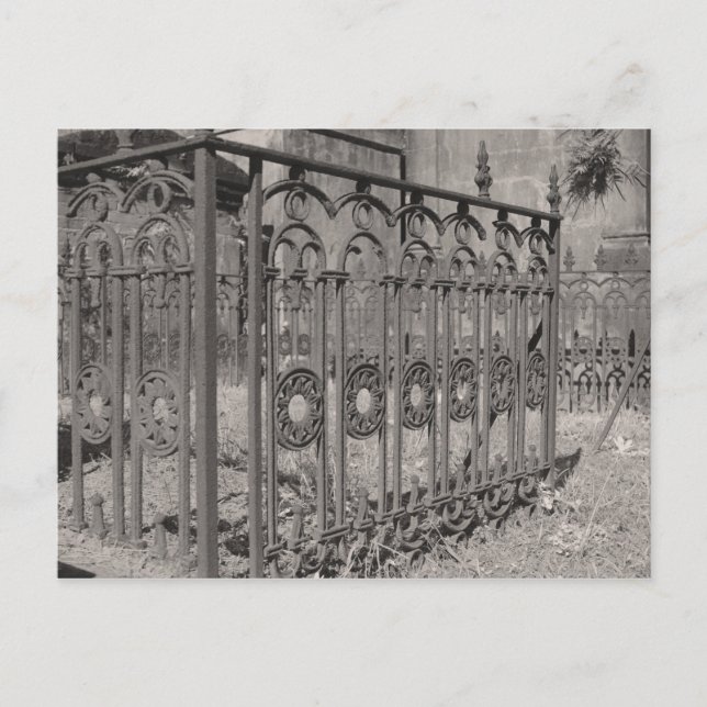 Rusted Fence Railing Postcard (Front)