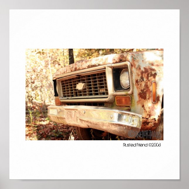 Rusted Friend Poster (Front)