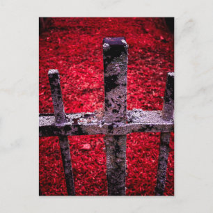 Rusted Metal Fence on Vibrant Red Background Postcard