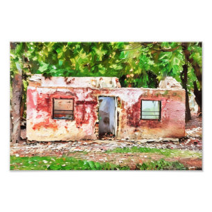 Rustic Abandoned House Amidst Green Forest Photo Print