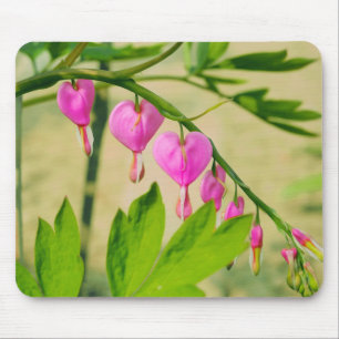 Rustic Asian Bleeding Heart Lamprocapnos Flower Mouse Pad