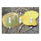 Rustic Aspen Leaves in Autumn Colours Photograph