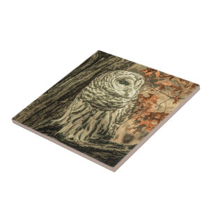 rustic autumn leaves oak tree white owl ceramic tile