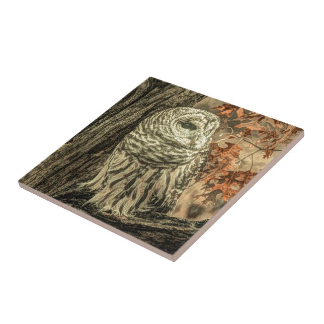 rustic autumn leaves oak tree white owl ceramic tile (Side)