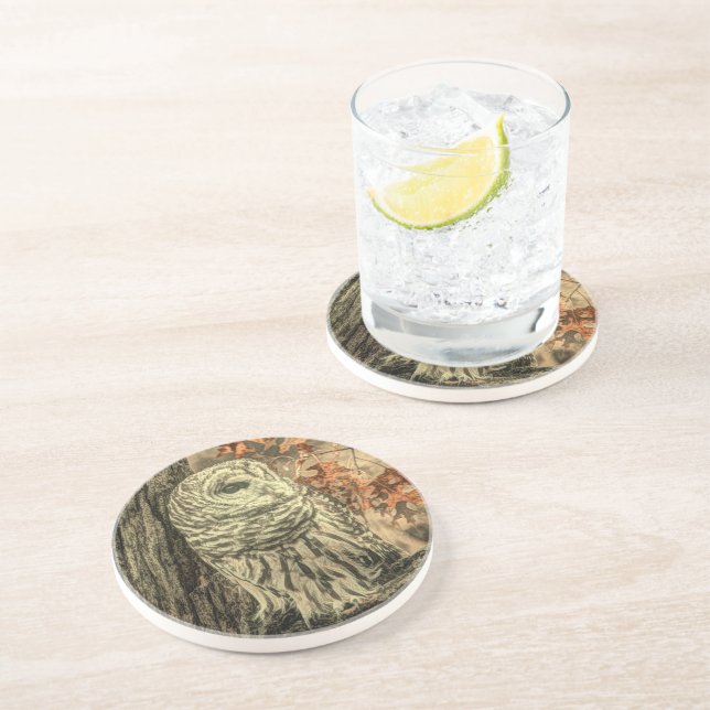 rustic autumn leaves oak tree white owl coaster (Side)
