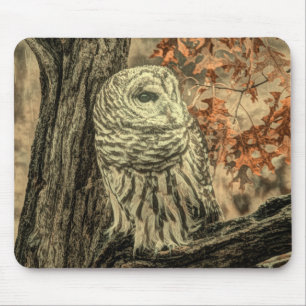 rustic autumn leaves oak tree white owl mouse pad