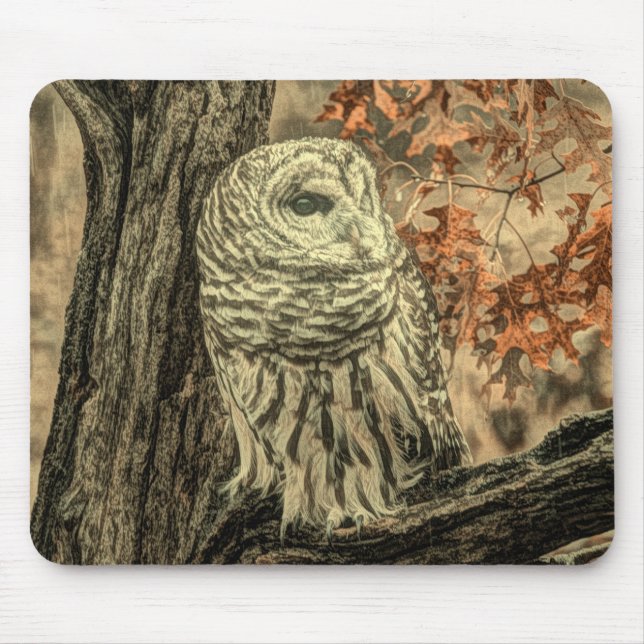 rustic autumn leaves oak tree white owl mouse pad (Front)