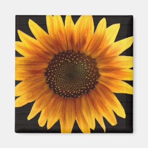 Rustic Autumn Sunflower Magnet