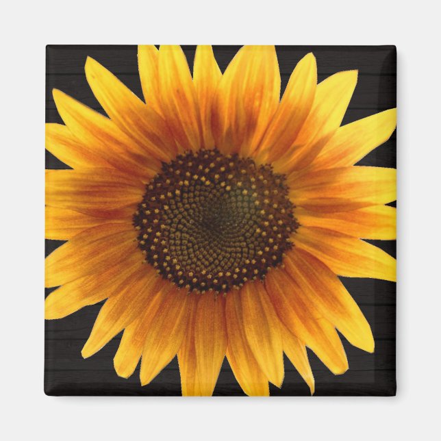 Rustic Autumn Sunflower Magnet (Front)