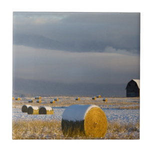 Rustic barn and hay bales after a fresh snow 3 tile