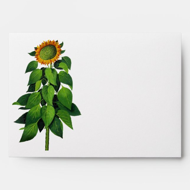 Rustic Barn Country Sunflower Wedding Envelope (Front)