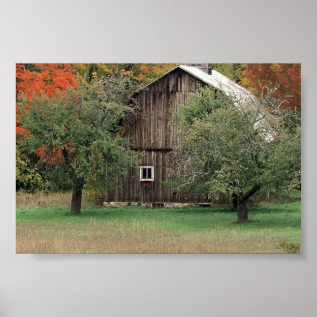 Rustic Barn in Michigan Poster (Front)