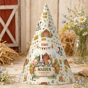 Rustic Barnyard 2nd Birthday kids Party Hat