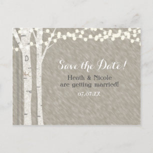 Rustic Birch Tree String Lights Save Date Wedding Announcement Postcard
