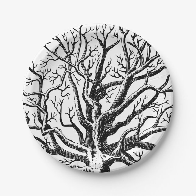 Rustic Black & White Abstract Tree Branches  Paper Plate (Front)
