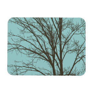 Rustic Blue Brown Tree Branches Magnet