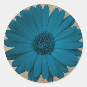 Rustic Blue Gerber Daisy Round Stickers Seals