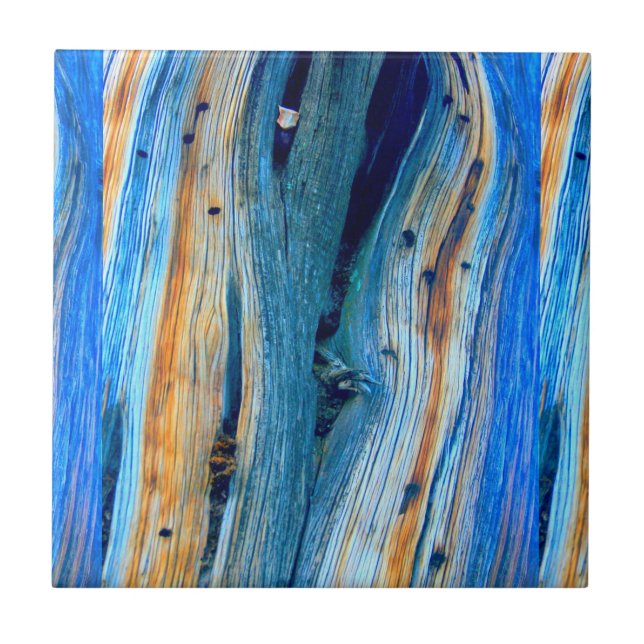 rustic blue wood boards tile (Front)