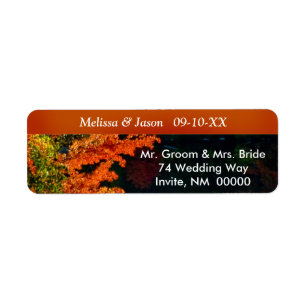 Rustic Bride Groom Fall Foliage Wedding Invite Lab Return Address Label