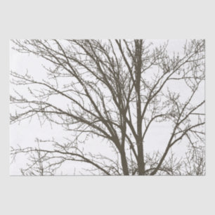 Rustic Brown Tree Branches Tissue Paper