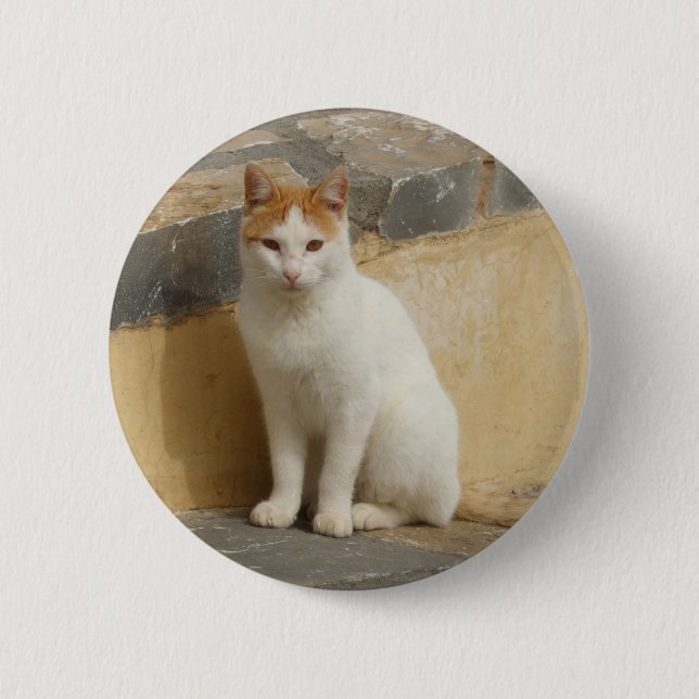 Rustic Cat Button (Front)