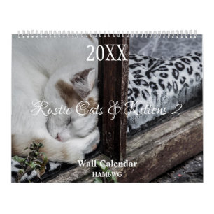 Rustic Cats & Kittens 2 Wall Calendar - HAMbyWG
