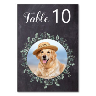 Rustic Chalkboard Dog Photo Pet Wedding Eucalyptus Table Number