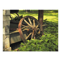 Rustic Charm – Weathered Wagon Wheel Photography